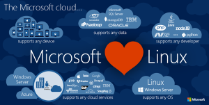 Microsoft love Linux